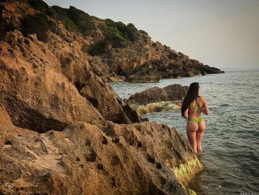 ElegantEudine